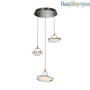 MS.2326.3 BK