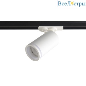 CLT 0.31 019 WH