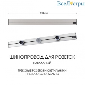392301TO/100 Silver