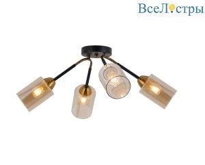 FR4014PL-04BBZ
