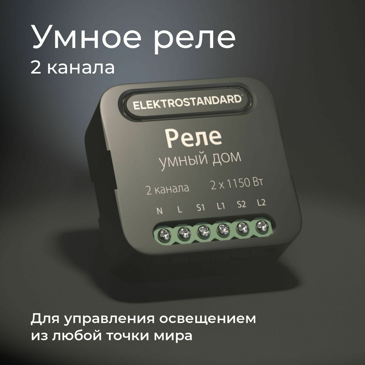умное двухканальное реле elektrostandard 4690389185083 a059326