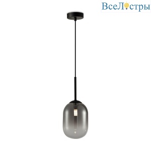 FR1011PL-01B1