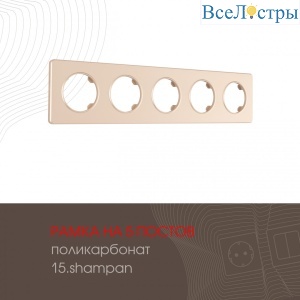 502.15-5.shampan