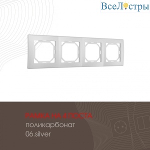 503.06-4.silver