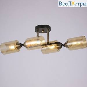IL8148-4COU-79 BK BR Bice