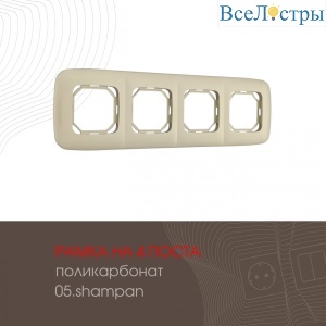 505.05-4.shampan