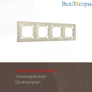 503.06-4.shampan