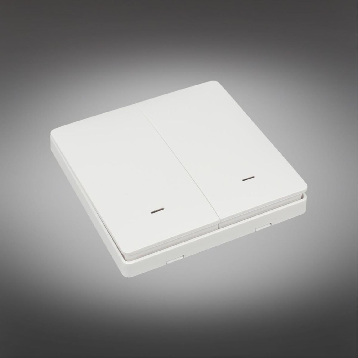 выключатель двухклавишный aployt magnetic track 220 apl.0190.00.02