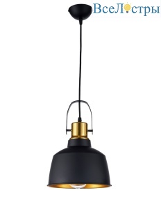 Priamo E 1.3.P2 B