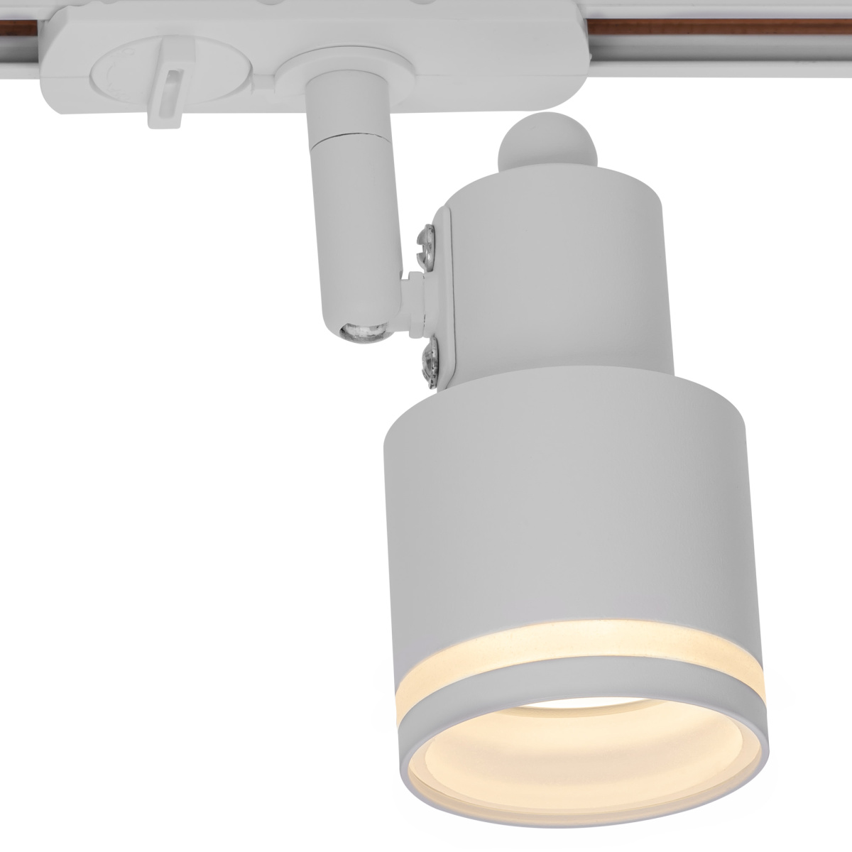 трековый однофазный светильник citilux bruno cl565t10