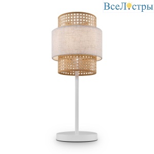 FR5333TL-01W