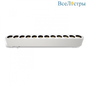 IL.0007.1101-12 WH