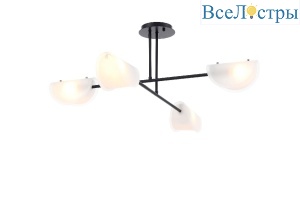 FR5228PL-04B