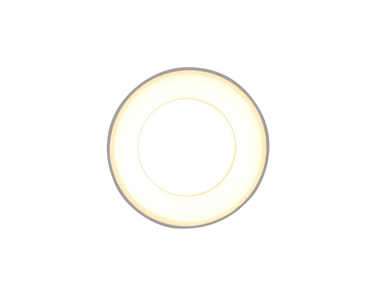 потолочный светильник ambrella light techno tn3411