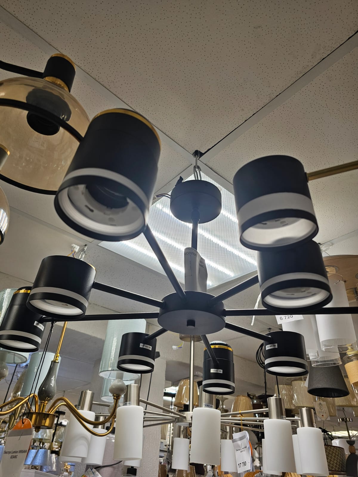 подвесная люстра lumion comfi virsava 8234/6c
