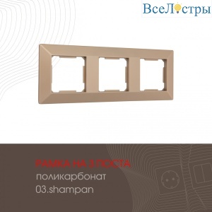 503.03-3.shampan
