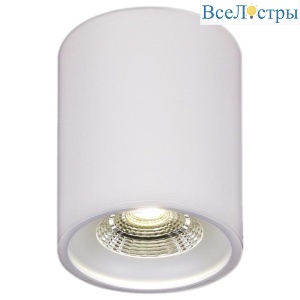 81117-9.5-001RT LED10W WT