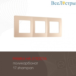 517.17-3.shampan