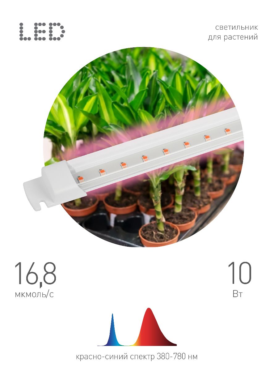линейный светильник эра fito-10w-т5-rb-slim б0057401