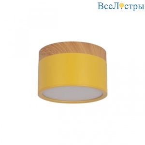 10162 Yellow