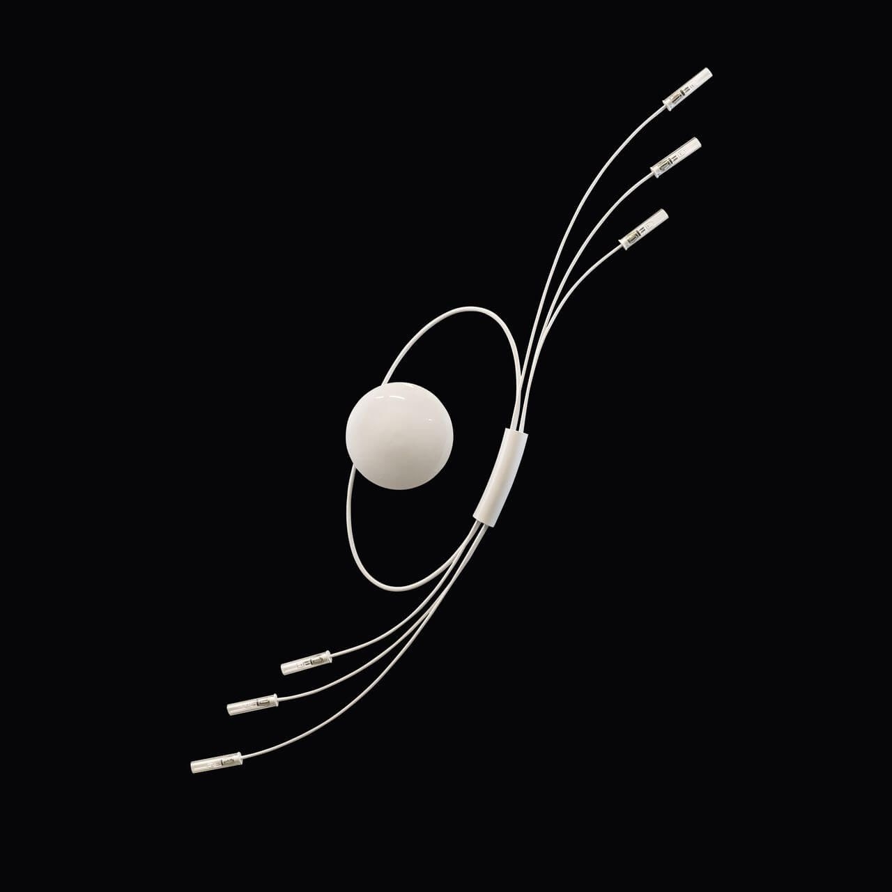 бра lightstar ovale 784666