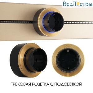 397952TS/ES Gold
