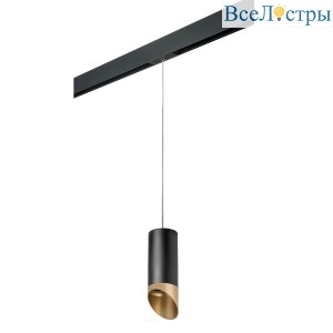 PRORP6487190