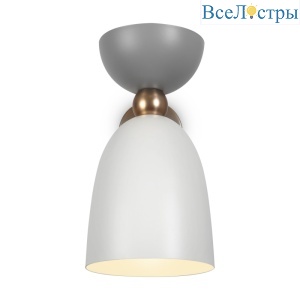 MOD113WL-01W
