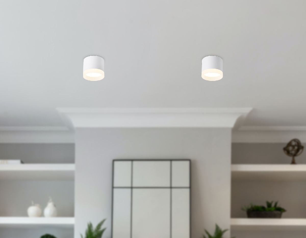 накладной светильник ambrella light acrylic frost tn5365