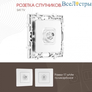217.42-1.white
