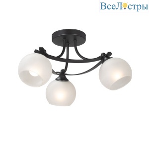 V2564-1/3PL