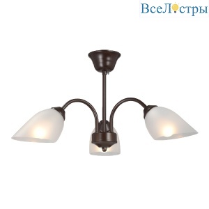 V3335-7/3PL