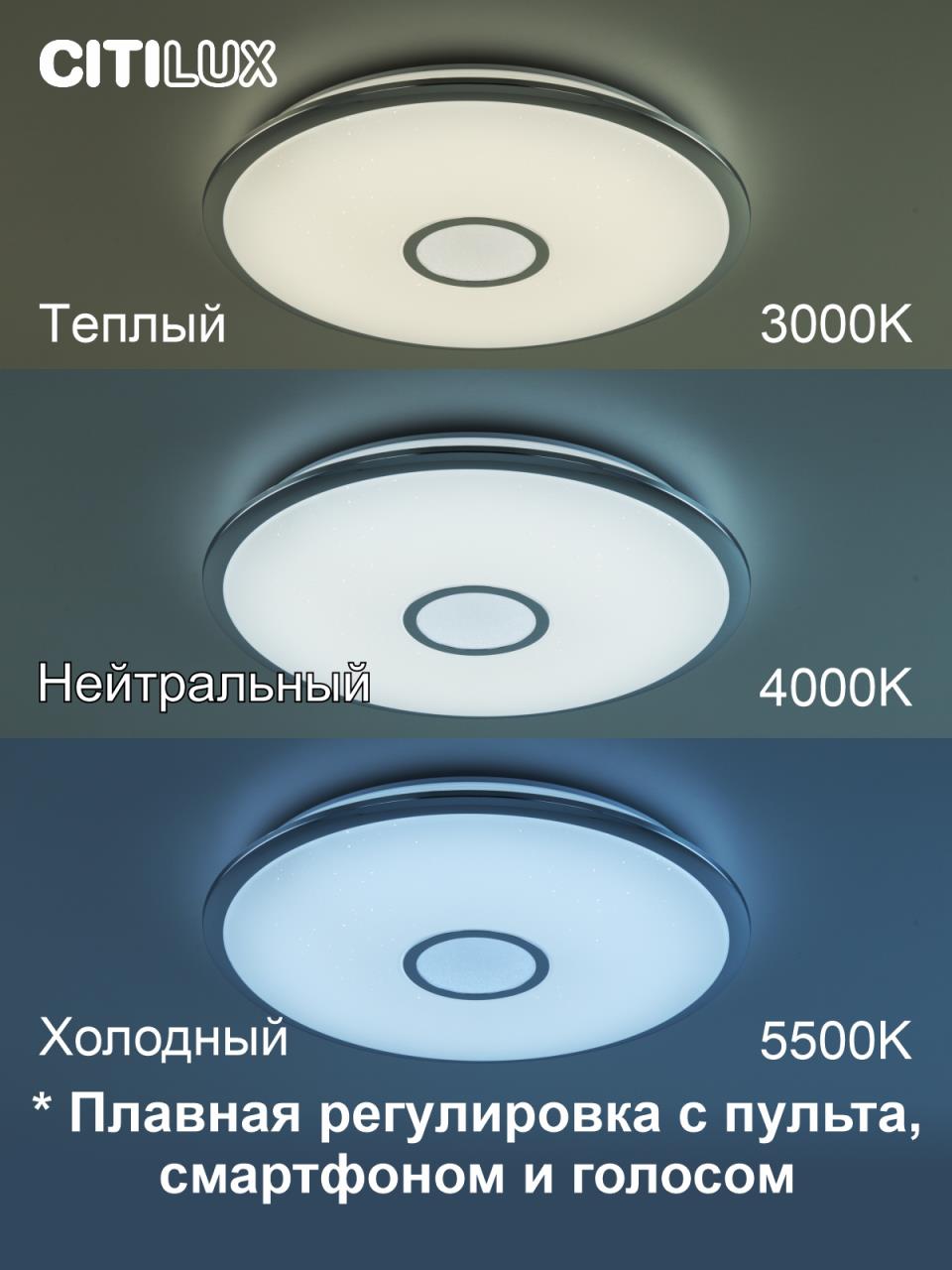 накладной светильник citilux cl703a60g