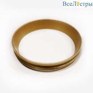 IT02-013 ring gold