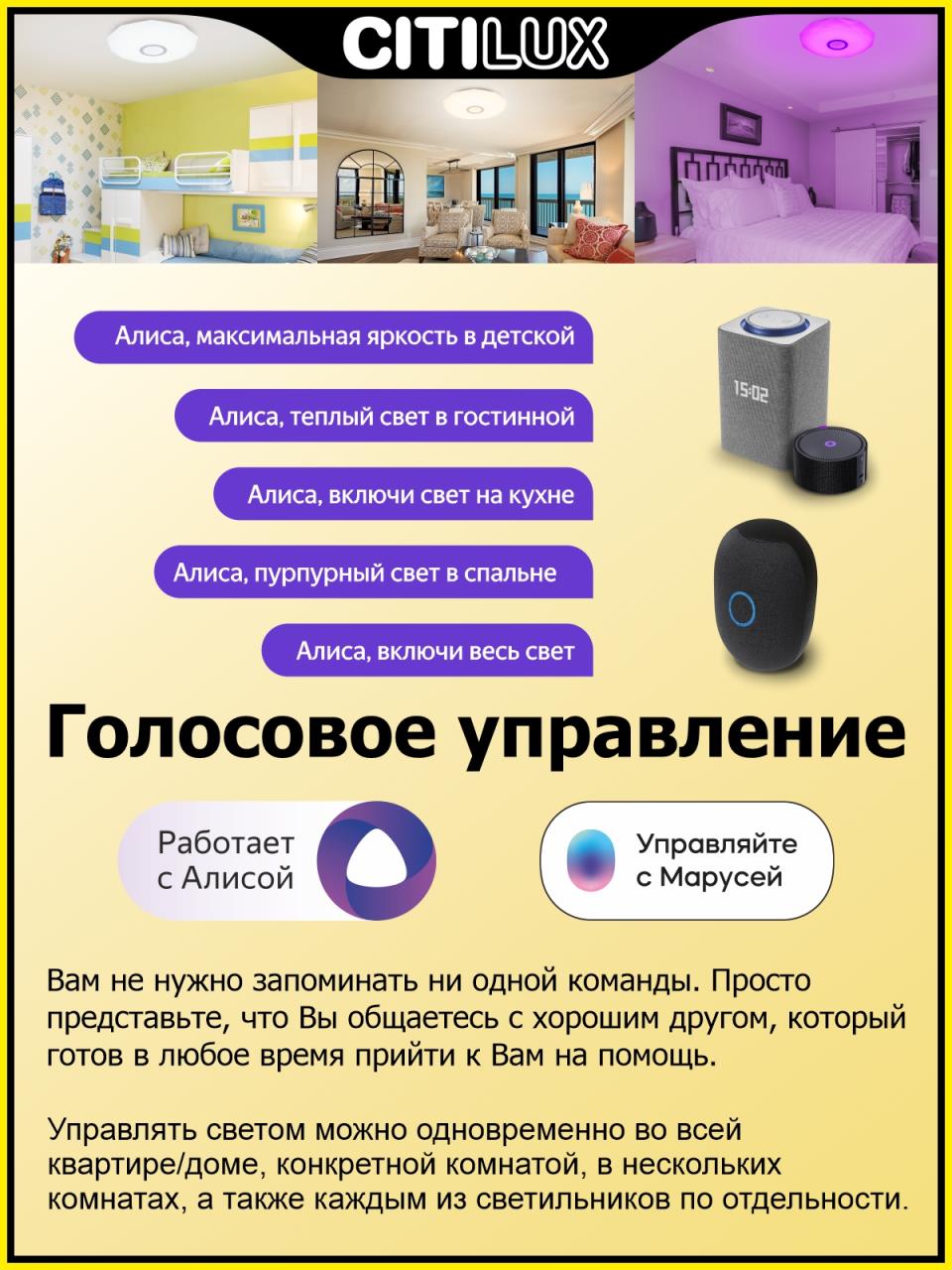 накладной светильник citilux cl713a100g
