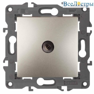 Б0034299