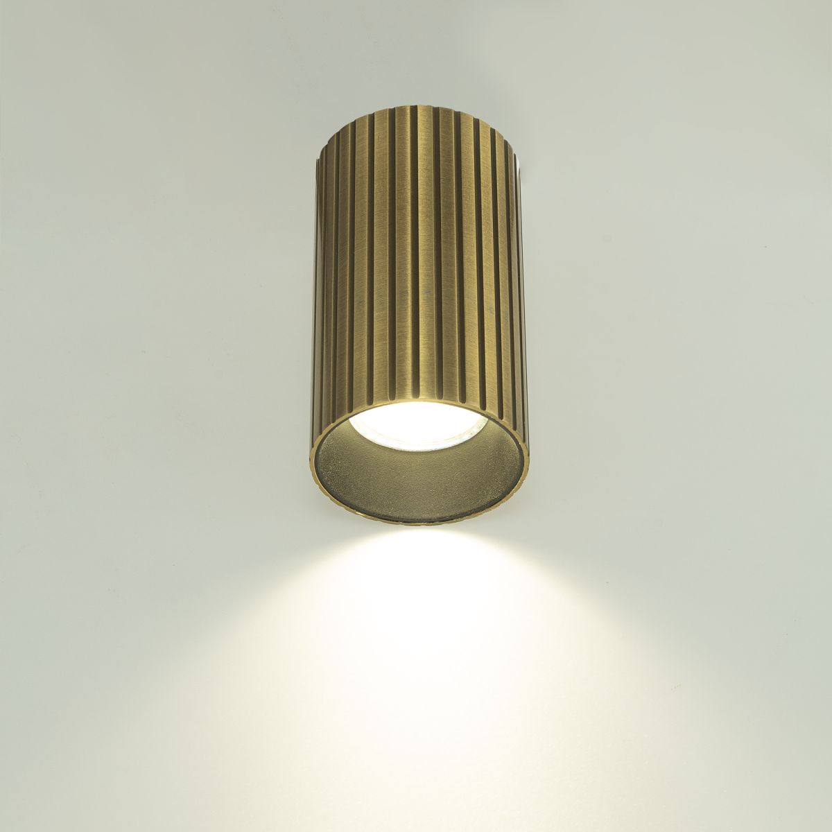 накладной светильник citilux axel cl512113r