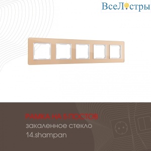 503.14-5.shampan