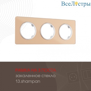 502.13-3.shampan