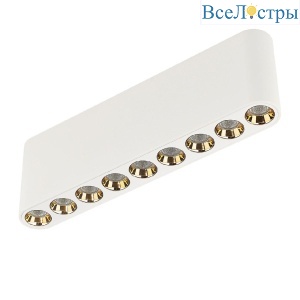 7091/21CL