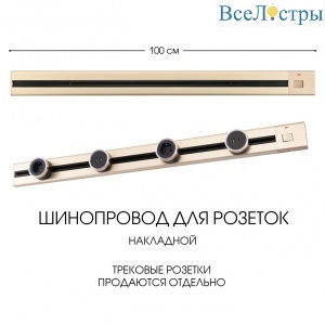 385201TOB/100 Gold
