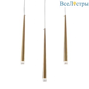 OM042820-3 gold