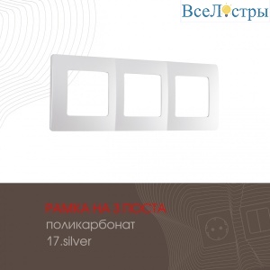 517.17-3.silver