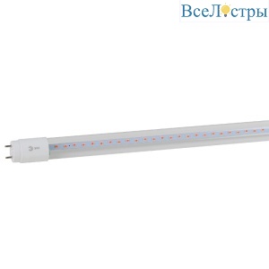 Б0042990
