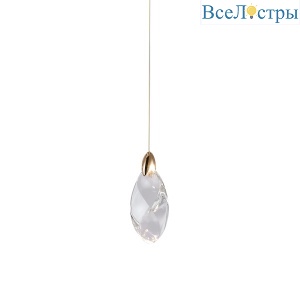 OD2439-1 gold/clear