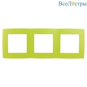 Б0019409