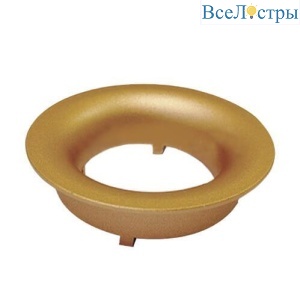 IT02-008 ring gold