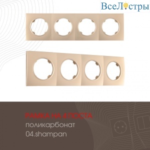 502.04-4.shampan
