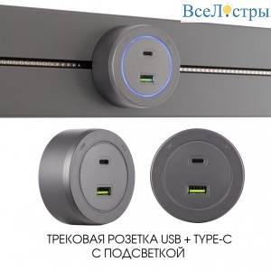 399731TS/USB-Type-C Grey