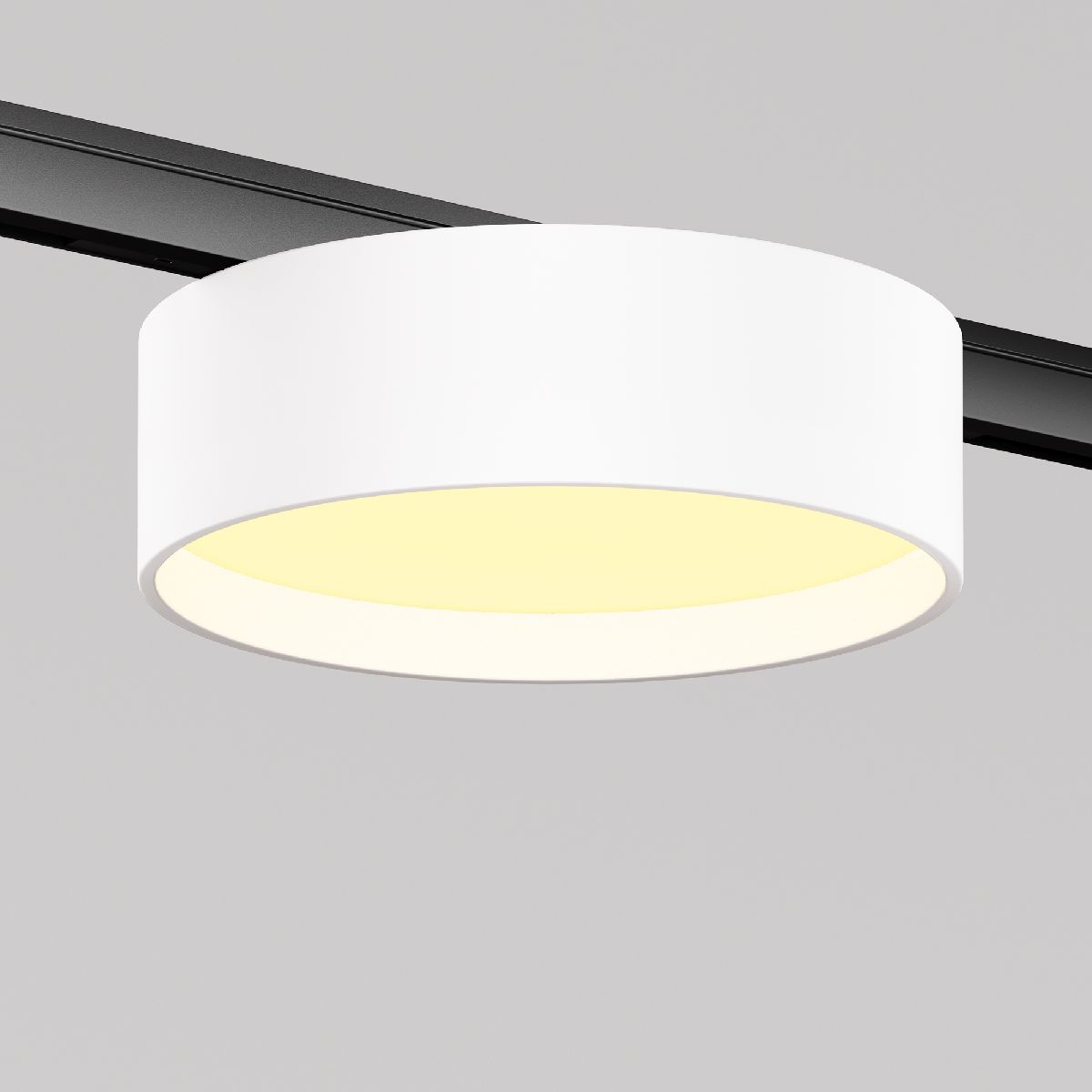 трековый магнитный светильник maytoni zon tr189-1-12w2.7k-bw